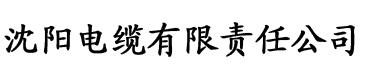 欧美日韩亚洲国产精品电缆厂logo